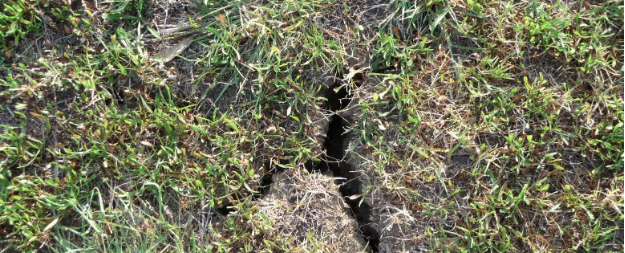 wide crack in the dry dirt and grass ground